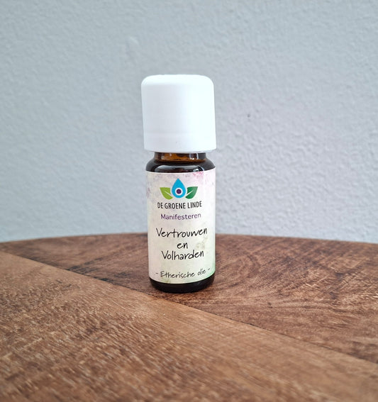 manifesteren-vertrouwen-volharden